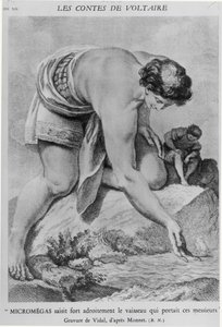 Жерар Видалийн (1742-1801) сийлбэрлэсэн Франсуа Мари Аруэ де Вольтерийн (1694-1778) "Лес Контес" зохиолоос "Микромегас эдгээр ноёдыг тээвэрлэж явсан хөлөг онгоцыг чадварлаг барьж авав".